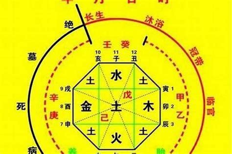 免費算五行喜用神|八字喜用神在线查询器,五行喜什么查询免费